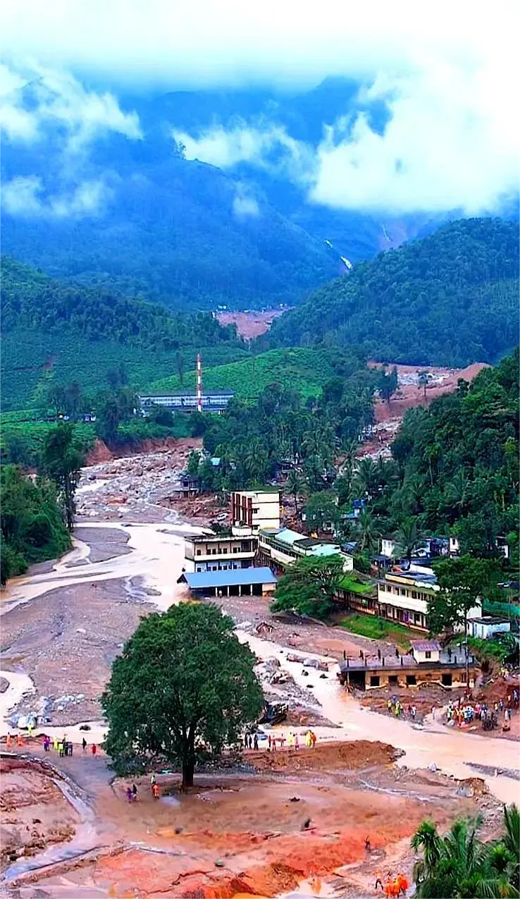 Green Terrace Restoration and Recovery After Wayanad Mundakkai Landslide