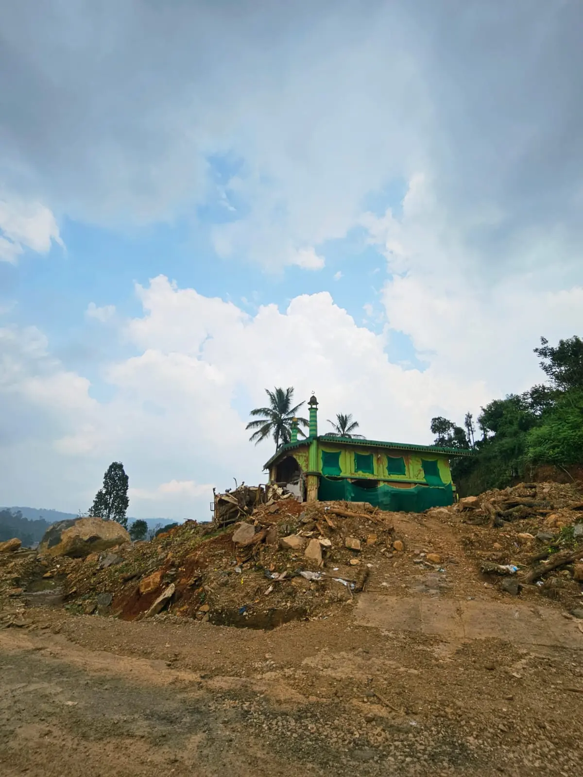 Harvesting Robusta Coffee Beans Sourced Post Wayanad Mundakkai Landslide