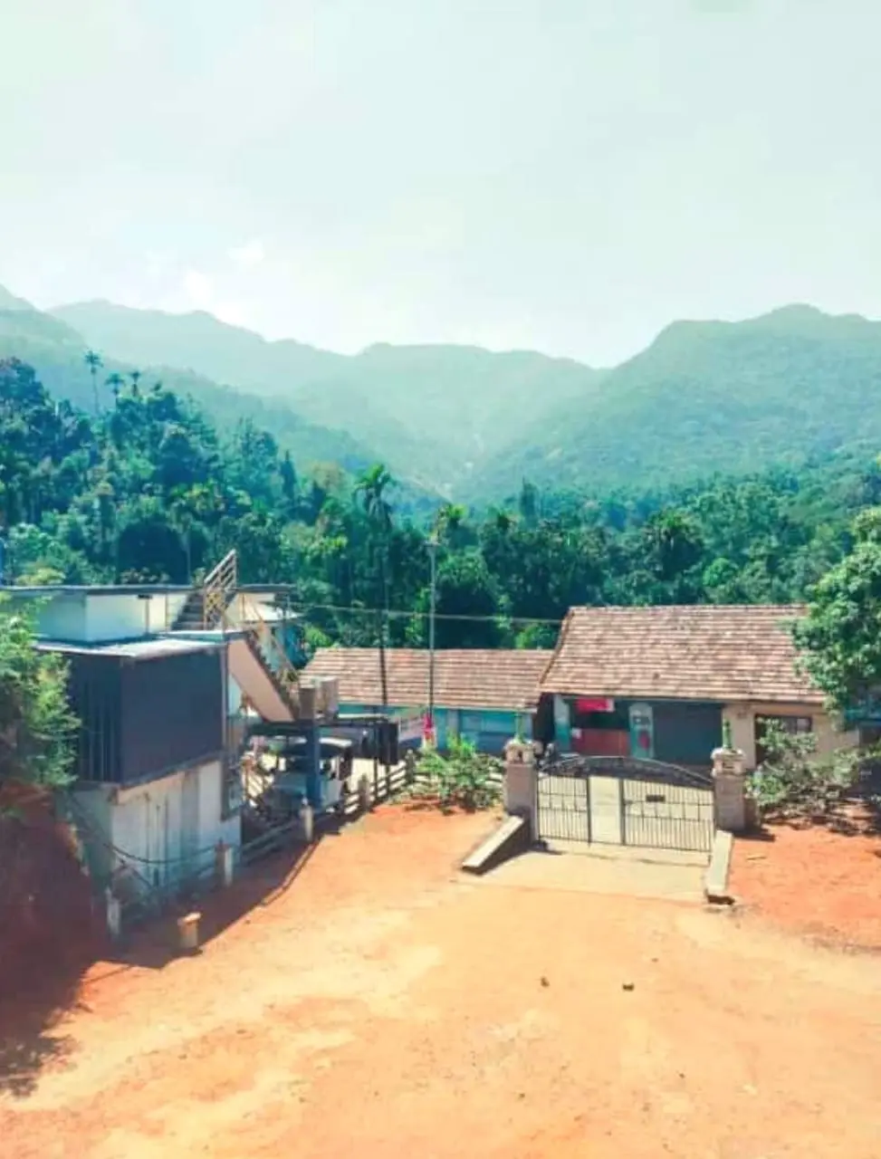 Eroded Hills and Agricultural Paths Left by Wayanad Mundakkai Landslide