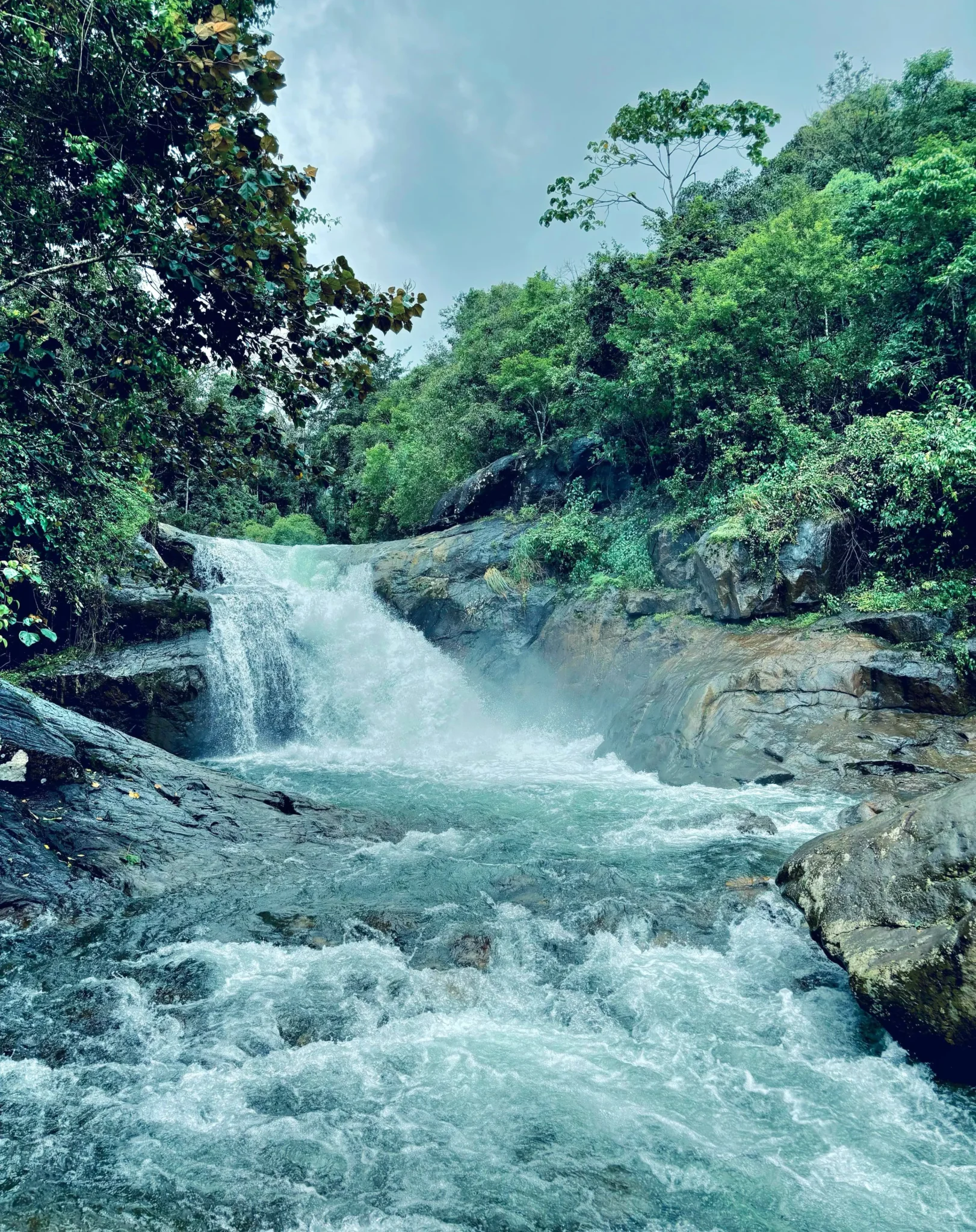 Mundakkai Hills Prior to the Wayanad Mundakkai Landslide